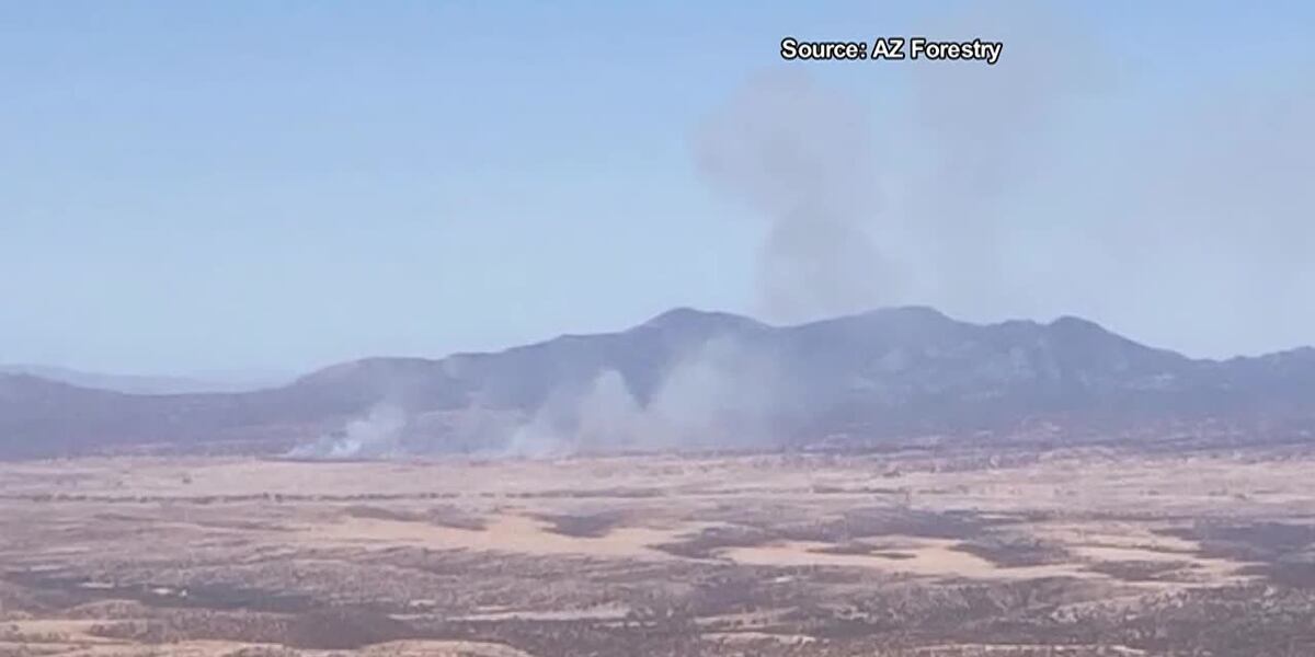 Crews responding to new wildfire in Santa Cruz County