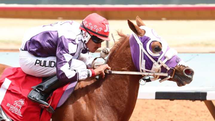 Hardtokatch dies, won't run in Ruidoso Derby, cause of death unknown