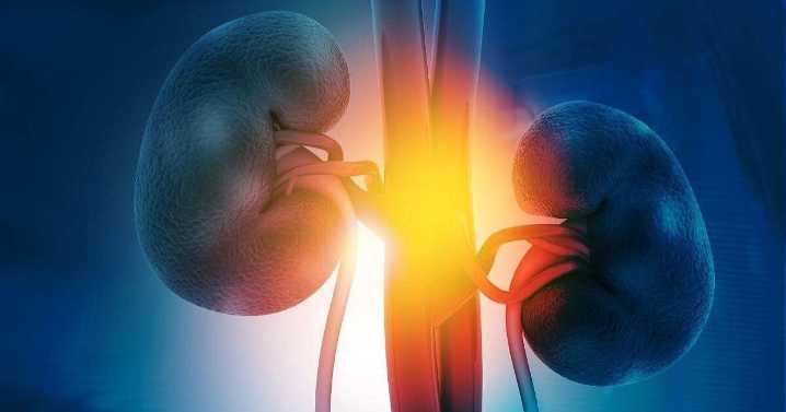 Preemptive Kidney Transplants Add No Benefit, Study Says