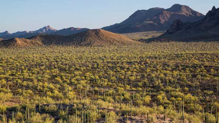Environmental groups rally to defend national monuments from mining