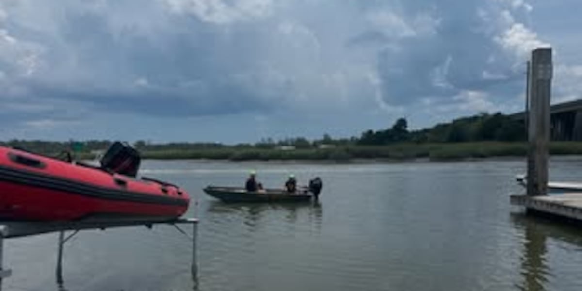Concerned citizen reports diver down without a flag, says Chatham Co. Fire