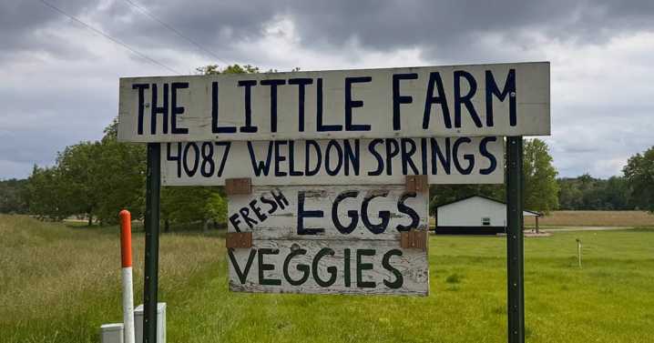 Illinois ‘chicken bill’ aims to boost small poultry farms, expand access to their products