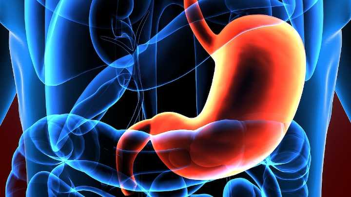 Immunotherapy Effective Against Stomach Cancer