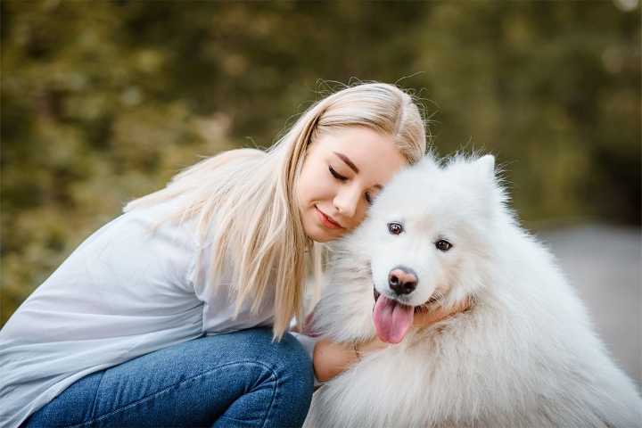 13 Cuddly Dog Breeds Your Heart Will Love Instantly