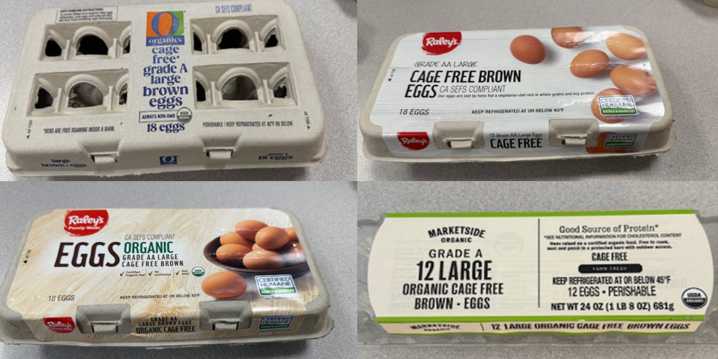 Salmonella Outbreak Linked to Eggs | Salmonella Infection