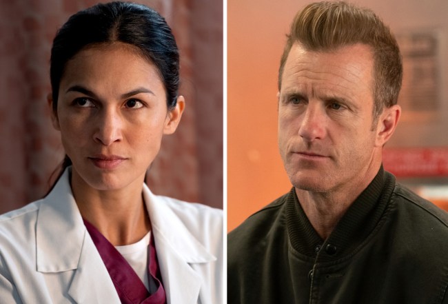 'The Cleaning Lady' and 'Alert Missing Persons Unit' Cancelled at Fox