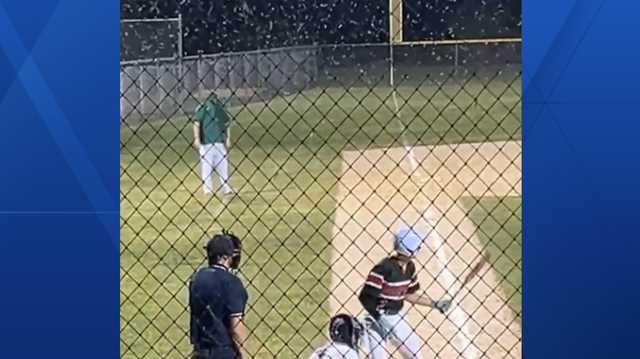 WATCH: Mayflies swarm Iowa high school baseball game