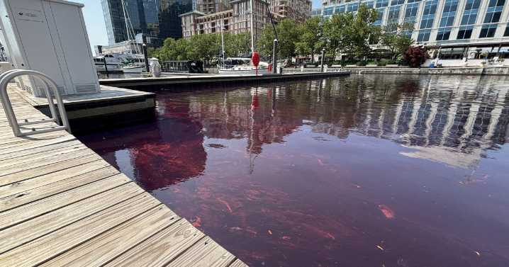 100 gallons of oil spilled in Baltimore harbor, Coast Guard helping with cleanup