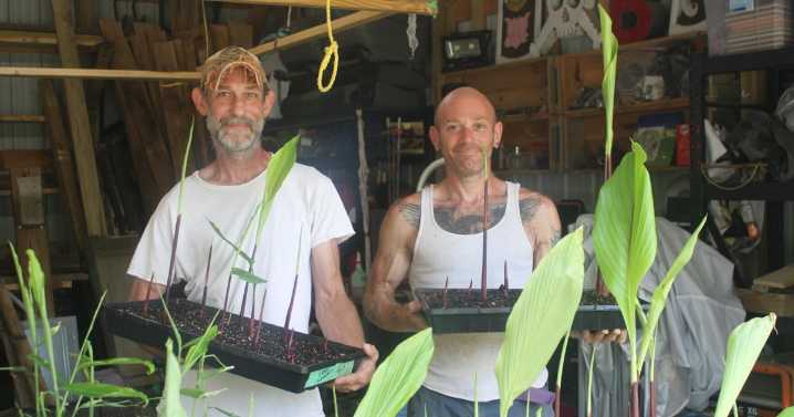 LGBTQ-owned spice farm is Southern Illinois made