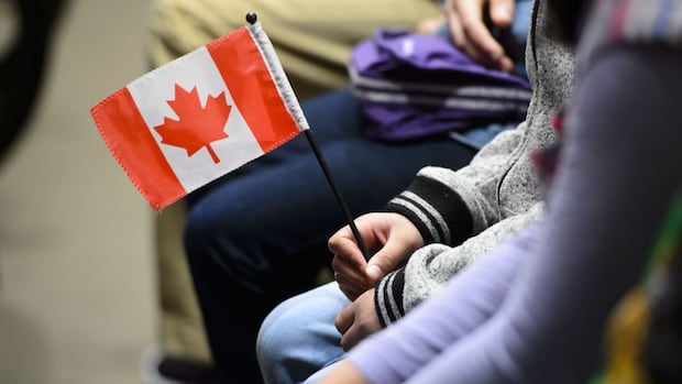 'Lost Canadians' citizenship bill tabled as court deadline looms