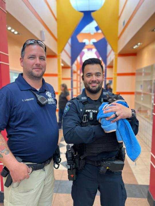 Meow-velous save: Brownsville officer saves kitten