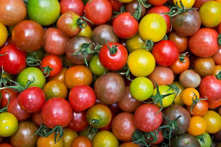 Risk upgraded for some tomatoes from S.C., two other states 