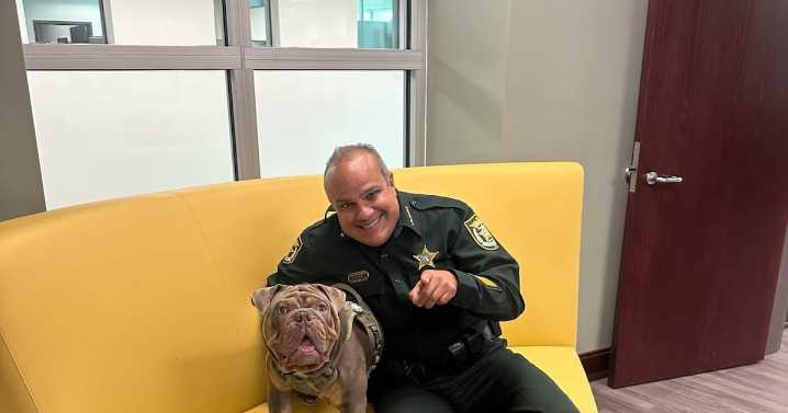 Arrestan Marcos López, sheriff que Osceola que hace una semana aseguraba tener la fórmula para controlar las corridas de motoras