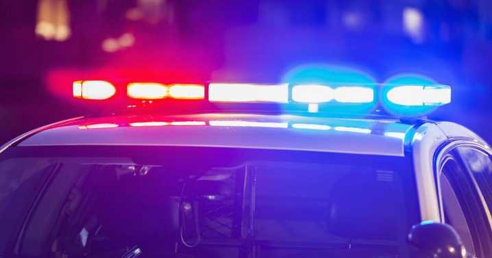 Nearly 3 pounds of narcotics seized at USPS
