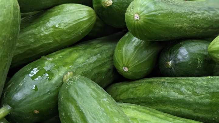 More cucumbers have been recalled for salmonella risk