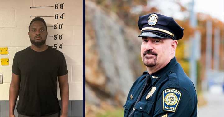 Alleged wrong-way Tesla driver who killed cop insisted he wasn't in crash despite crushed car
