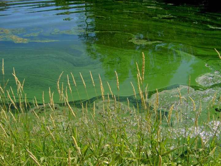 Waterkeeper to EPA: Enforce Montana’s water quality standards