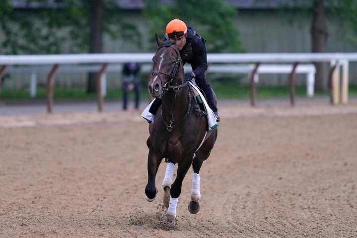 How to bet the Belmont Stakes: What to know about betting the final leg of the Triple Crown