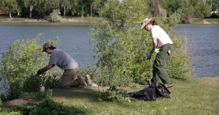 Volunteers help clean parks around Great Falls