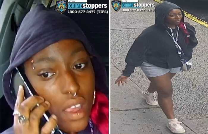 Pink-haired woman sought for knifepoint robbery of taxi driver in Dutch Kills: NYPD