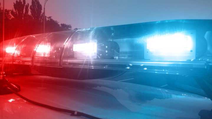 Woman dies after 'intentional' hit-and