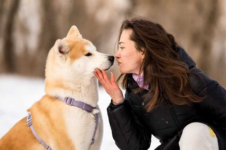 Can You Guess The 13 Most Loyal Dog Breeds?