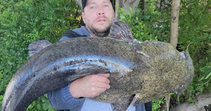 Philadelphia angler catches 72-pound catfish in Schuylkill River, an unofficial Pa. record