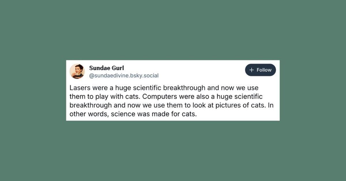 21 Of The Funniest Posts About Cats And Dogs This Week