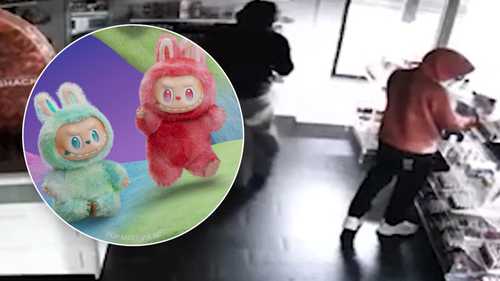 Viral Labubu dolls stolen from Orange County makeup store