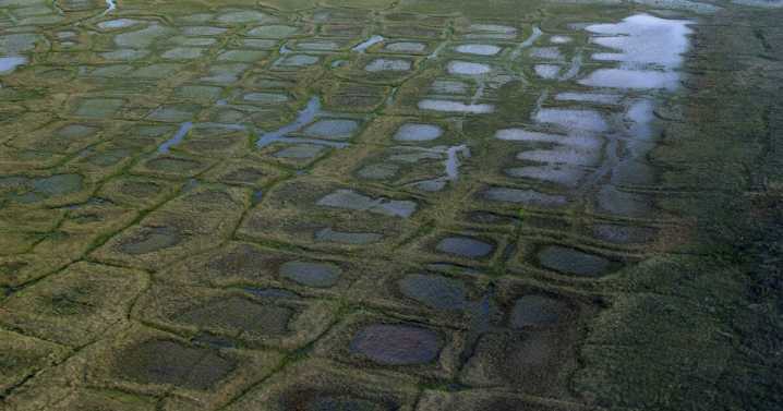 Trump administration plans to open millions of acres in Alaska to oil drilling