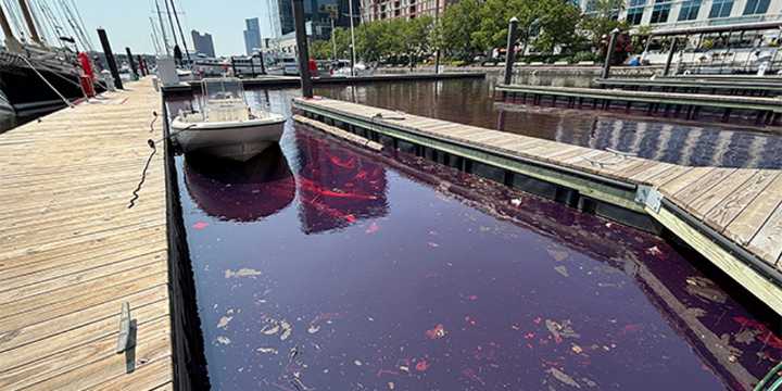2,000-gallon fuel spill leaves oily mess in Baltimore