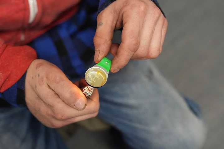 More than 2,200 Ontarians died from opioids last year as numbers trend downward, data show