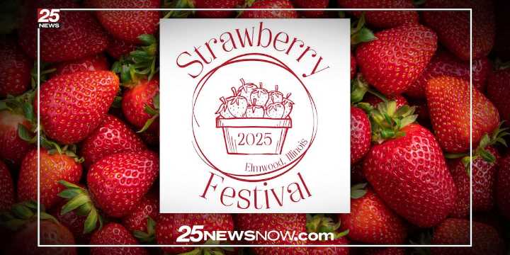 37th Elmwood Strawberry Festival returns with ‘something there for everybody’