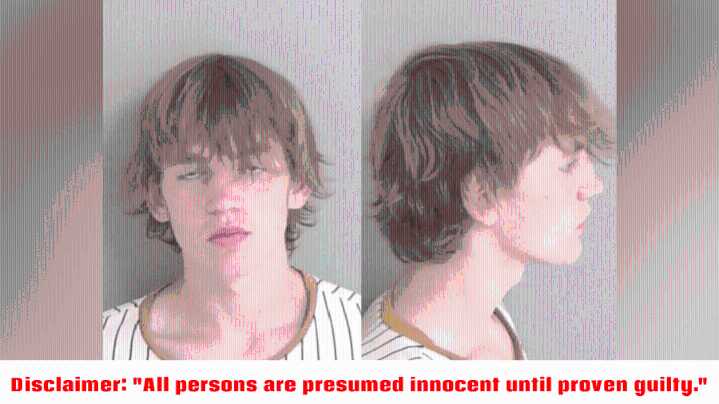 Prairieville man arrested on multiple child pornography charges