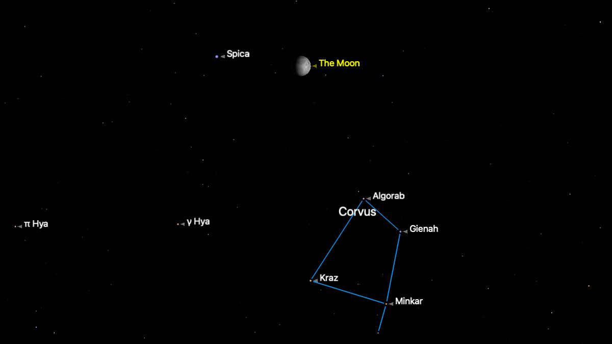 Don’t miss Spica shine with the waxing gibbous moon tonight