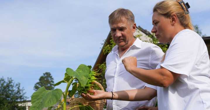It’s not too late to plant sunflowers for a late
