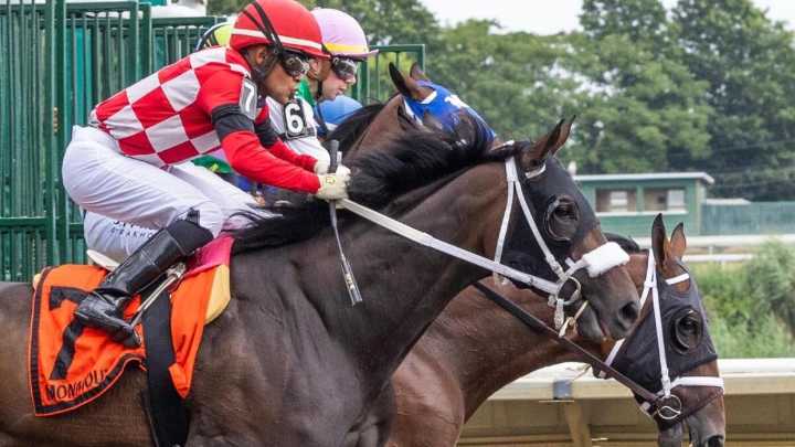 2025 Belmont Stakes weather forecast, outlook, update: Top 3 horses to back for Saratoga Race Course