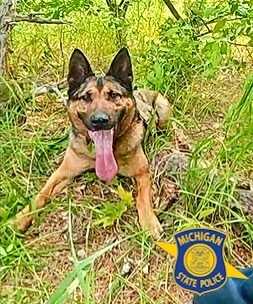 K-9 tracks down break-in suspect in Grand Traverse County
