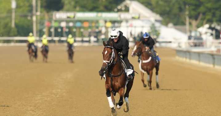 Belmont Stakes has plenty of storylines without a Triple Crown in play
