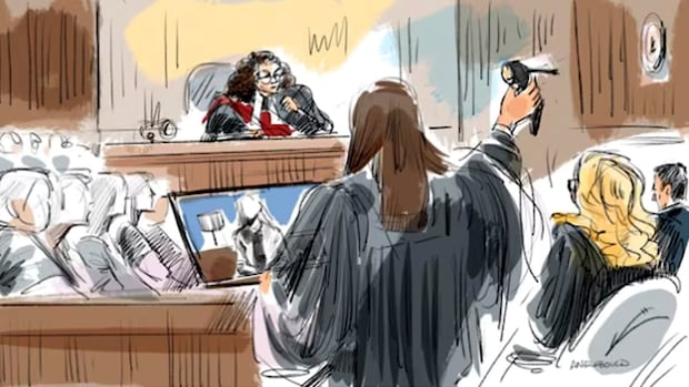 Making sense of some of the evidence in the Hockey Canada sexual assault trial