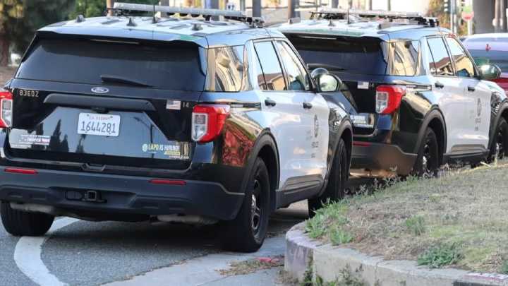 Del Rey home invasion victim escapes burglars, alerts police of crime