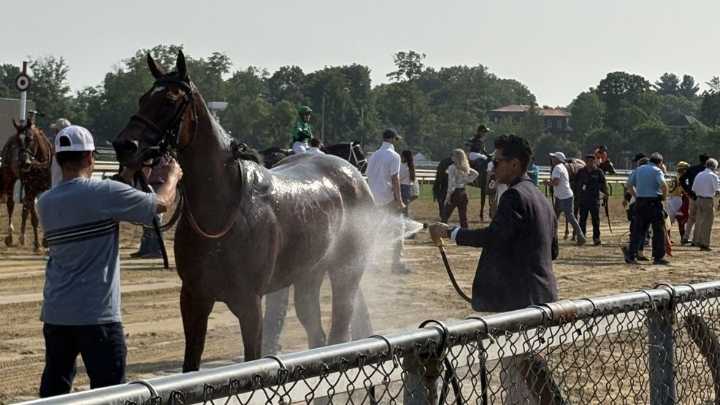 Horseracing Integrity and Safety Authority CEO talks oversight, challenges since launch