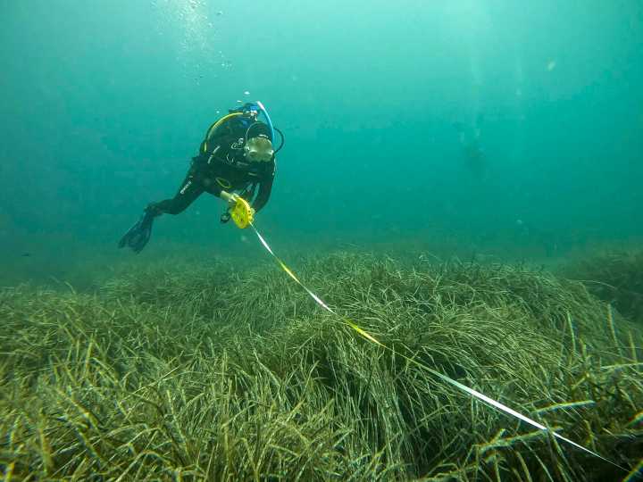 Calentamiento y sobreexplotación agravan el estado de unos océanos cada vez más amenazados