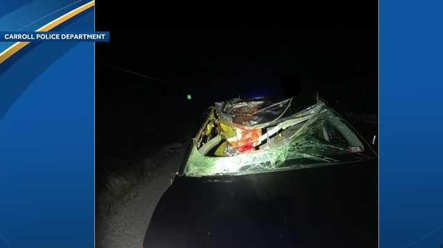Driver not injured in collision that killed moose in Bretton Woods