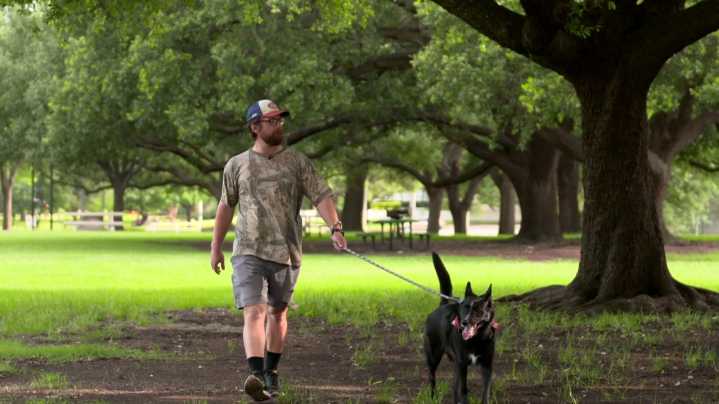 Denton, Texas mailman adopts dog whose elderly owner passed away