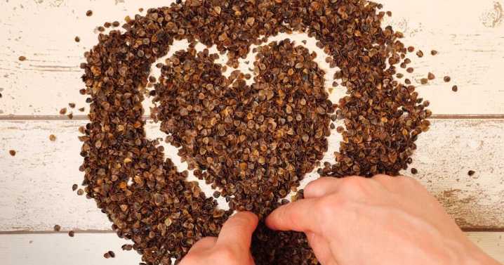 What you eat matters more than cutting carbs or fat for heart health