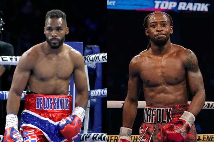 Why Did Keyshawn Davis vs. Edwin de Los Santos Get Called Off? Ahead of the Keyshawn Davis vs. Edwin De Los Santos fight, the bout gets dumped in the bin, but the question is why? Sudeep Sinha 14 hrs 