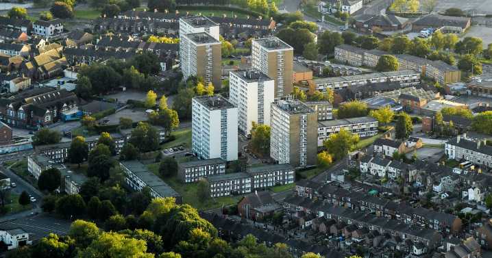 Hero Stokies rescue cat from concrete ledge on 8th floor of Hanley tower block 