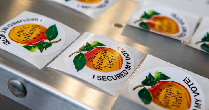 Here's who is running for office in Georgia in 2026