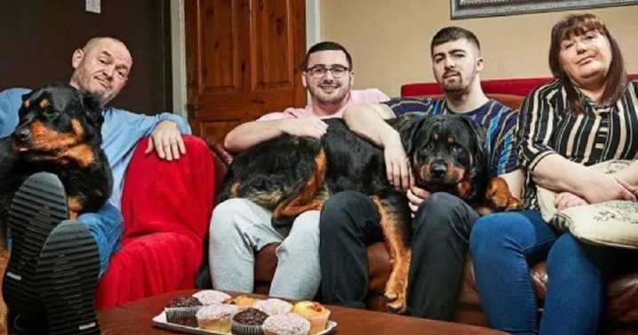 Gogglebox stars supported by fans as they announce devastating family death